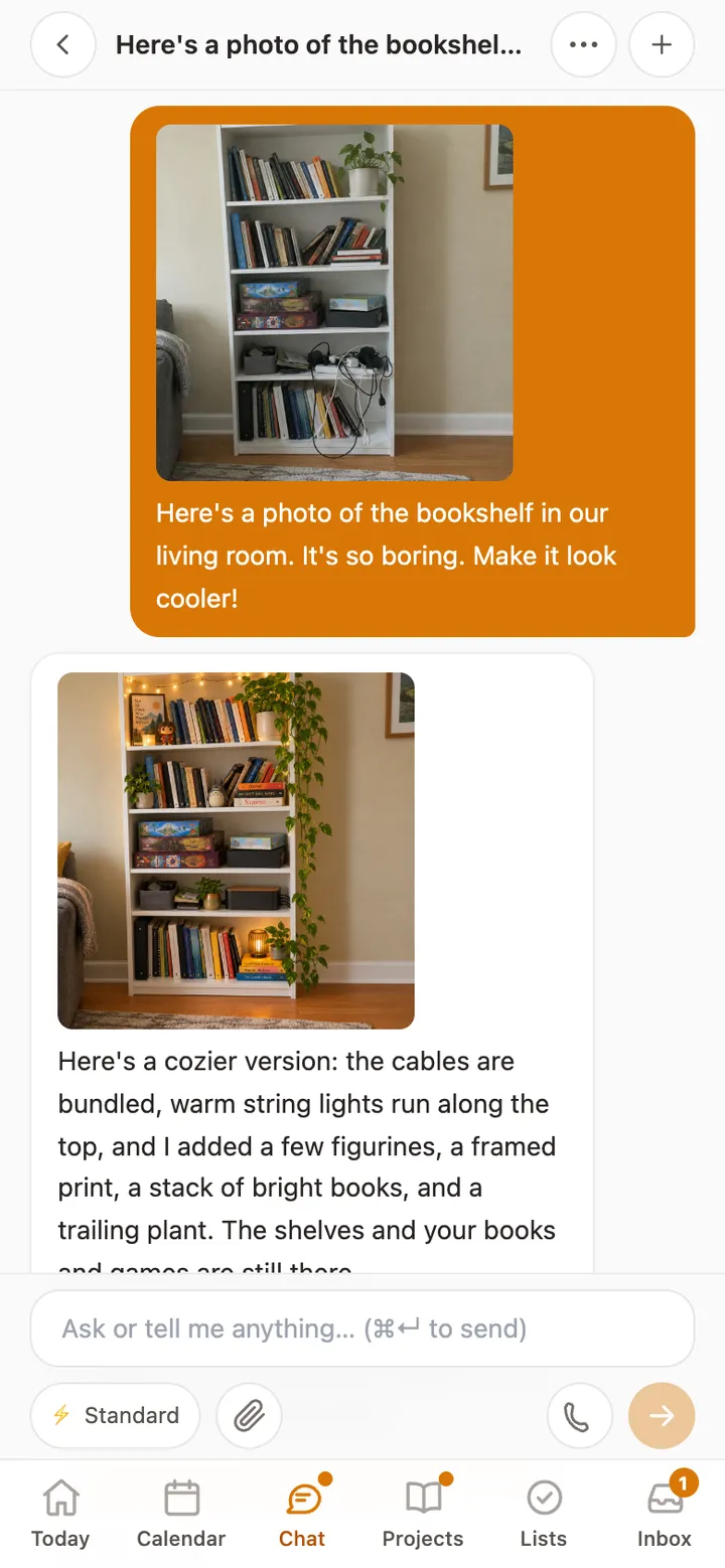 Alex’s photo of a plain bookshelf, and the cozier version Rumpus made